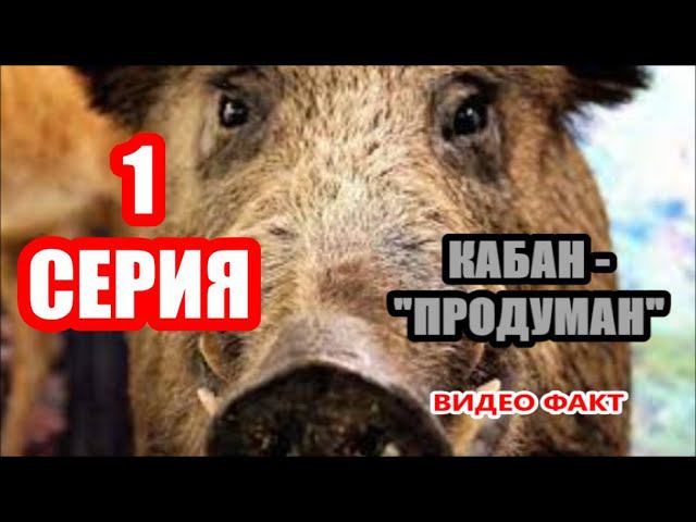 НЕ СНЯЛ БЫ - НЕ ПОВЕРИЛИ)))) смотреть онлайн