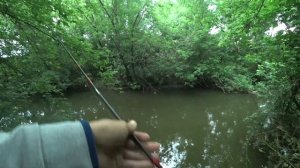 СУПЕР РЫБАЛКА НА ГОЛАВЛЯ, ловля голавля в мелкой речке!