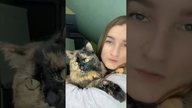 Перевела кошку на натуралку смотреть онлайн