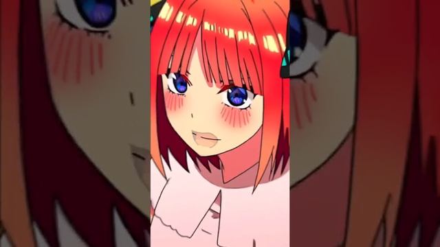 Нино 5 Невест смотреть онлайн