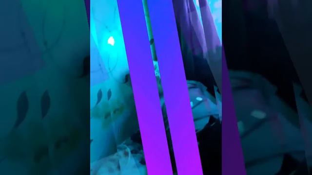 ватсап клип