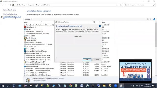 How to enable the NET Framework 3 5 feature in Windows operating system смотреть онлайн
