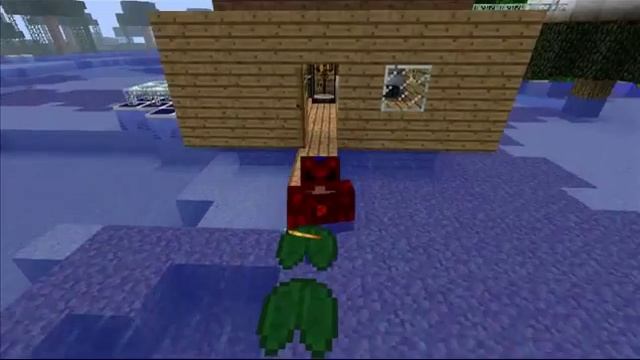 Minecraft 1.2.5 с модами смотреть онлайн