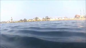 Золотые пески Пляж.  Феодосия - август 2016.Подводная съёмка