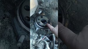 установка ТНВД SD16 двигатель SHANHAI