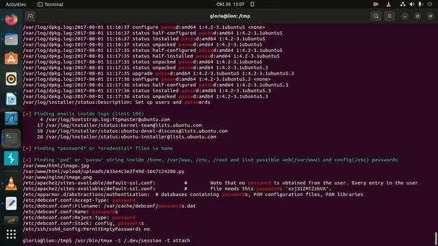 Tryhackme King of the Hill Lion walkthrough смотреть онлайн