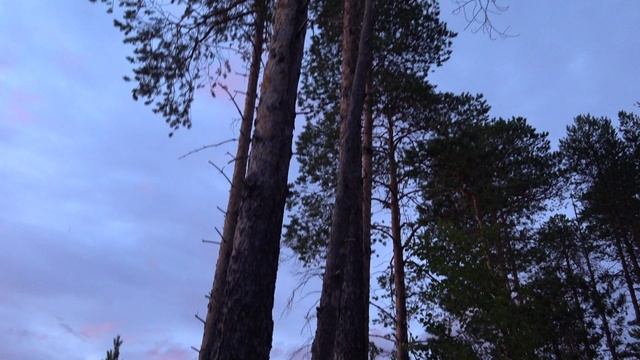 01.08.2022 Битва Волчицы.mp4