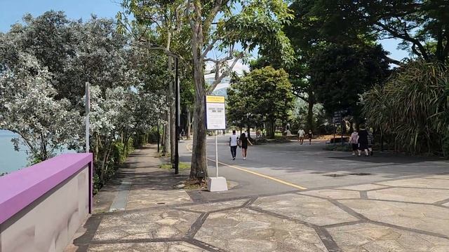Strolling from ArtScience Museum to Silver Garden?|| Singapore смотреть онлайн