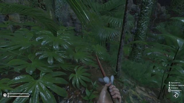 #5 КАК ЗАВОЕВАТЬ ДОВЕРИЕ ДЕРЕВНИ ДУХОВ АМАЗОНИИ | GREEN HELL смотреть онлайн