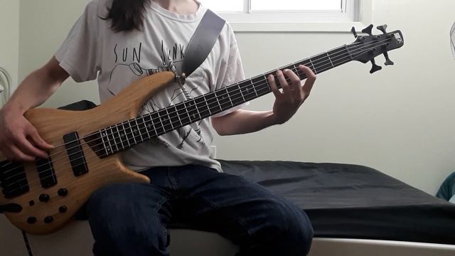 Skull Snaps - It's a New Day - Bass Cover (Tabs and Isolated Bass in Description) смотреть онлайн