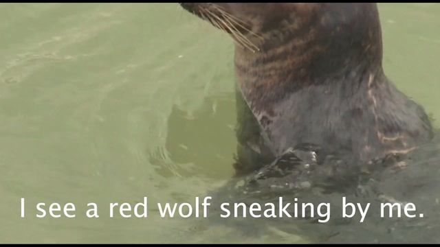 Panda Bear, Panda Bear, What do you see? (Read Aloud) смотреть онлайн