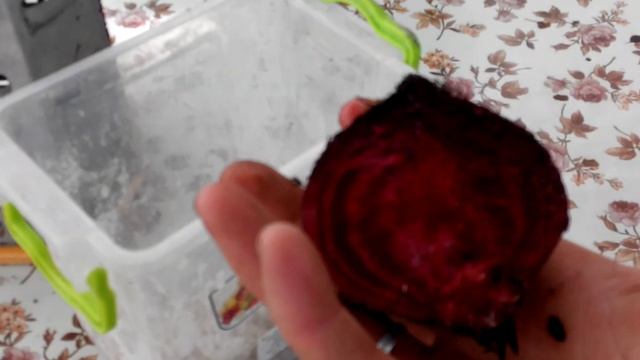 Цветной уловистый опарыш смотреть онлайн