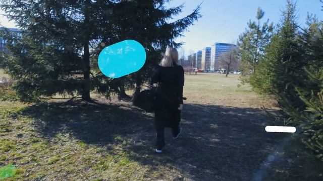 Стильная яркая сумка переноска для кошек и собак от Optimum смотреть онлайн