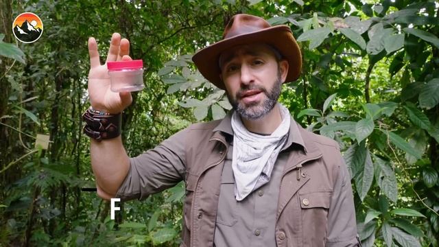 Bullet Ant Challenge - Will It Sting?! смотреть онлайн
