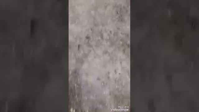 Новая весна1\2 смотреть онлайн