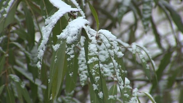 Депрессивное состояние