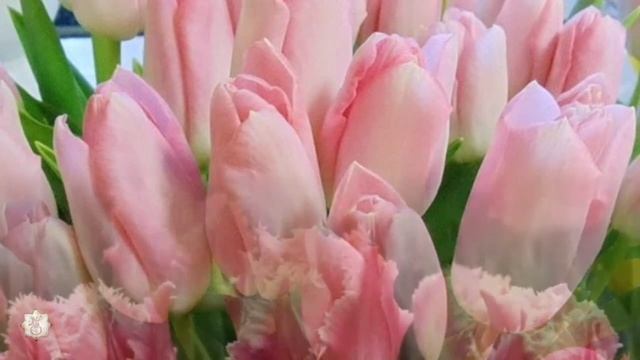 Für die Seele...для души... смотреть онлайн