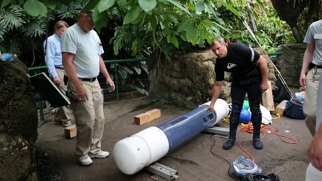 #ZooVets: Arapaima Procedure смотреть онлайн