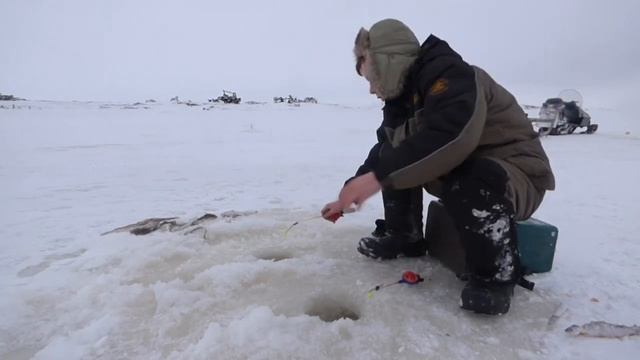 ПУТЕШЕСТВИЕ НА КРАЙ СВЕТА СЕРИЯ №2, ЛОВЛЯ НАВАГИ И КОРЮШКИ НА РЕКЕ смотреть онлайн