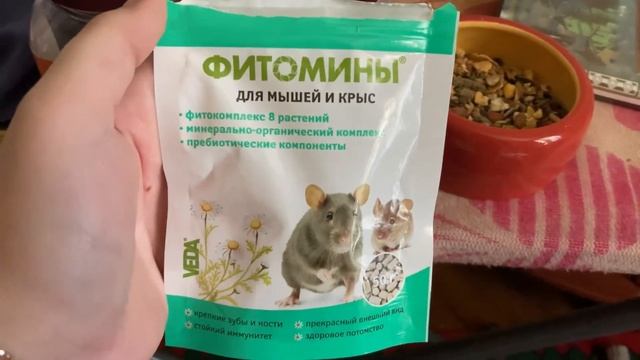 Уборка в большой клетке крыс| Вкусные и полезные вкусняшки| смотреть онлайн