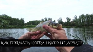 Тесто из моллюсков. Рецепт удачи. Карась.