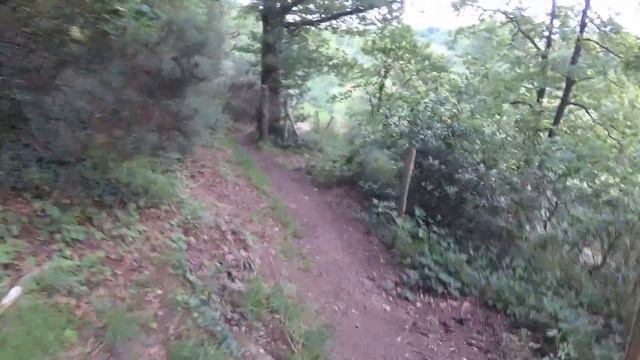 Descente technique Bois joli TOP 1 смотреть онлайн