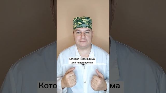 Как жить без желчного пузыря? смотреть онлайн