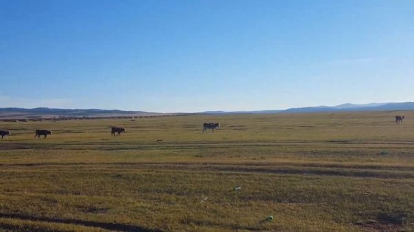 Бурятские просторы