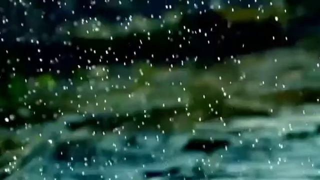 УДИВИТЕЛЬНО ПРИРОДА И МУЗЫКА смотреть онлайн