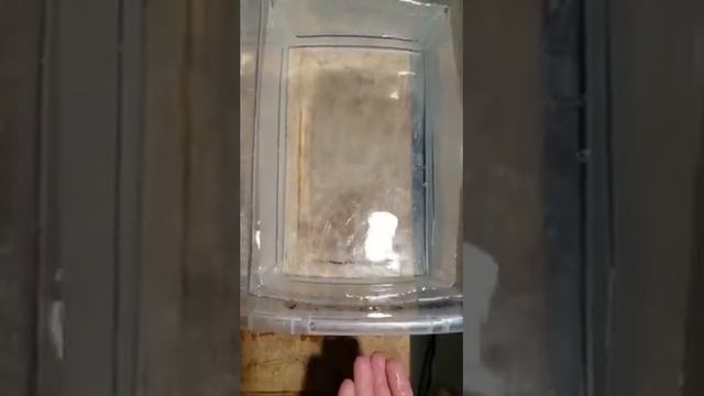 Water controlling modular synth смотреть онлайн