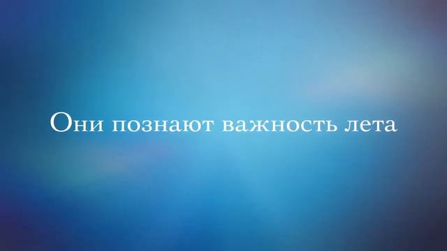 Лето кончилось смотреть онлайн