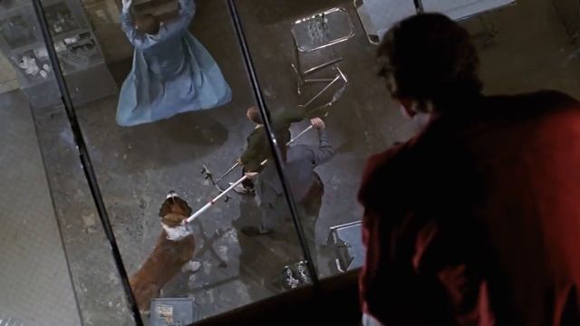 Beethoven (1992)-  Beethoven Rescued! HD