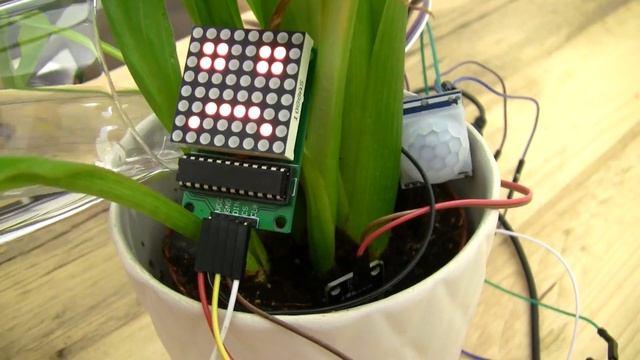 The Arduino Plant with JavaScript voice recognition смотреть онлайн