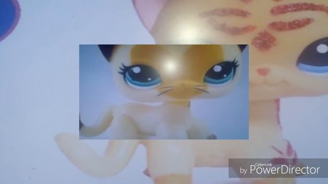 Lps: фото стоячек. смотреть онлайн