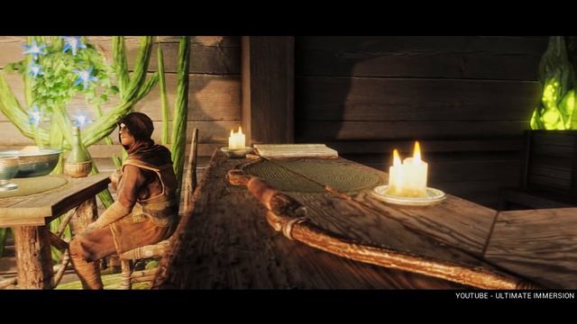 DAHAKA ENB - INSANE PRESET | Skyrim Ultra High - Photoreal Graphics | Nvidia GTX 1080 смотреть онлайн