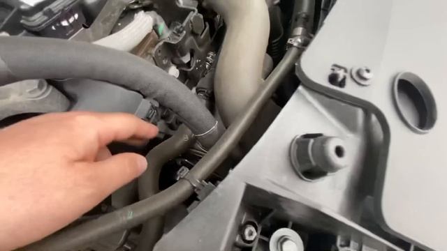 Renault Grand Scenic 4 Hybrid Assist. Псков. смотреть онлайн