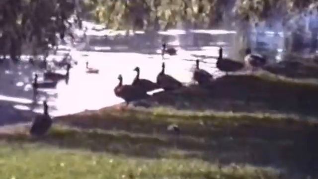 Stadthagen kleiner Stadtrundgang