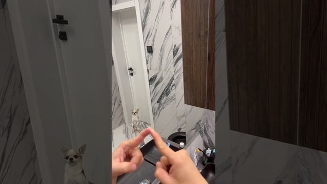 КАК СДЕЛАТЬ НЕОБЫЧНЫЙ КАДР смотреть онлайн