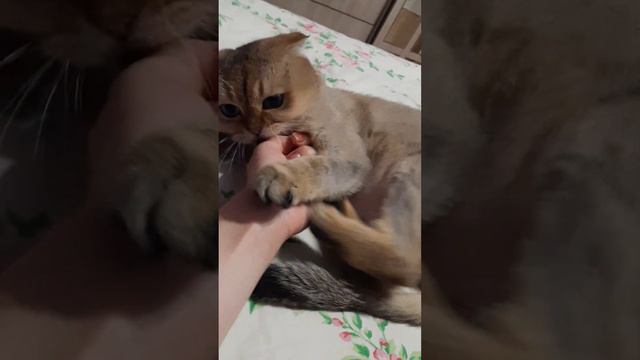 Ай, больно! смотреть онлайн