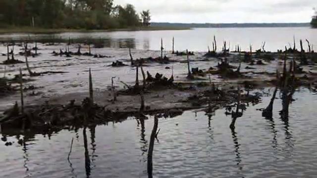 Демянский край смотреть онлайн