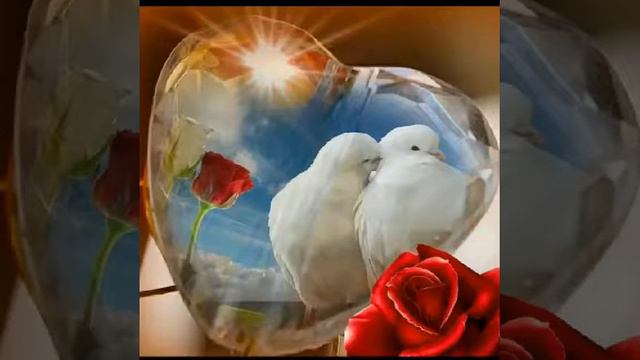 Евгений Коновалов -свадебная смотреть онлайн