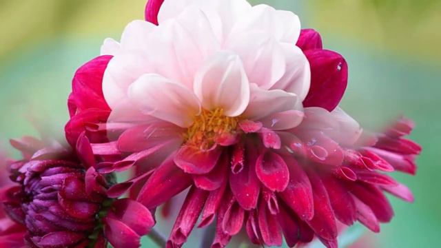 Это Безумно Красивая Мелодия, трогающая до глубины души! Бодрящая музыка для начала нового дня... смотреть онлайн