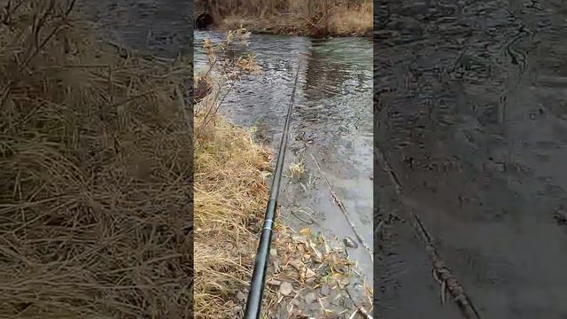 Осень. Маленькая речка или быстрый ручей? смотреть онлайн