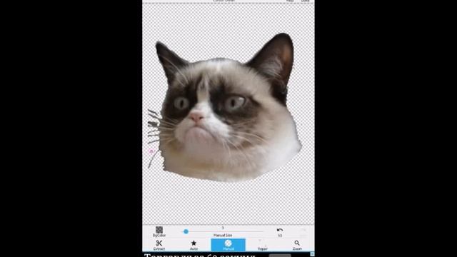 Cat Photoshop #1 - Cat Karate смотреть онлайн