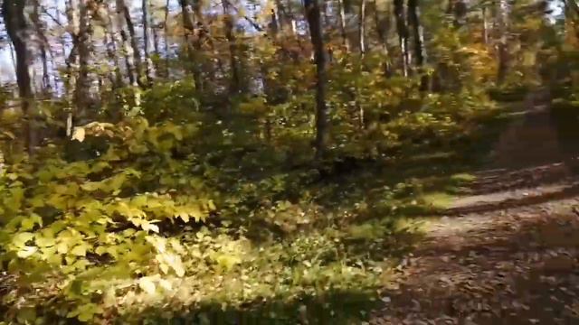 Гуляем на улице, показываю рисунки по клеточкам смотреть онлайн