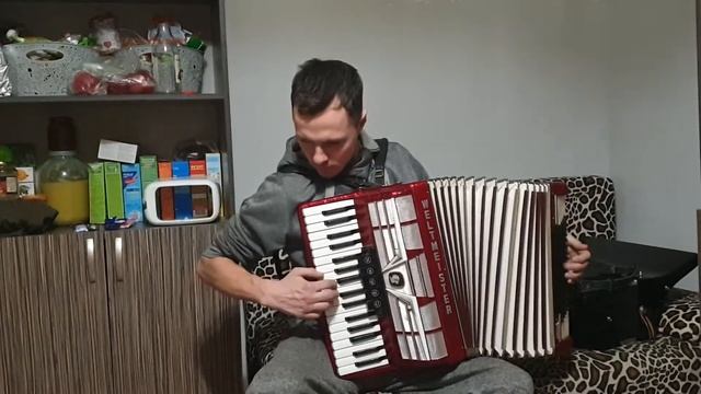 Лезгинка на Аккордеоне Weltmeister смотреть онлайн
