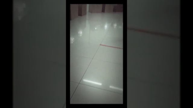 выставка пауков смотреть онлайн