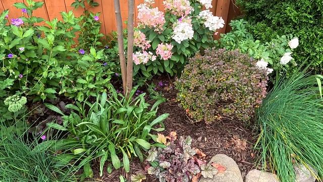 End of August Weekly Garden Tour ~ After the Storm 🫣⛈️🪷// Suburban Oasis смотреть онлайн