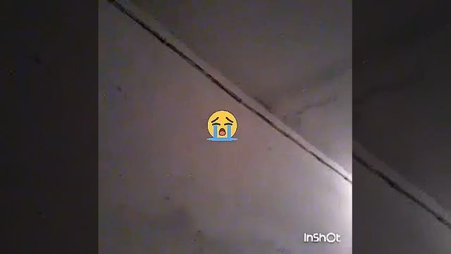 СК. Левокумский район поселок Новокумский..потоп в Новокумской четырехэтажке смотреть онлайн