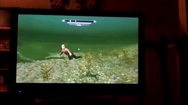 Retarded kid swim backwards - SKYRIM смотреть онлайн